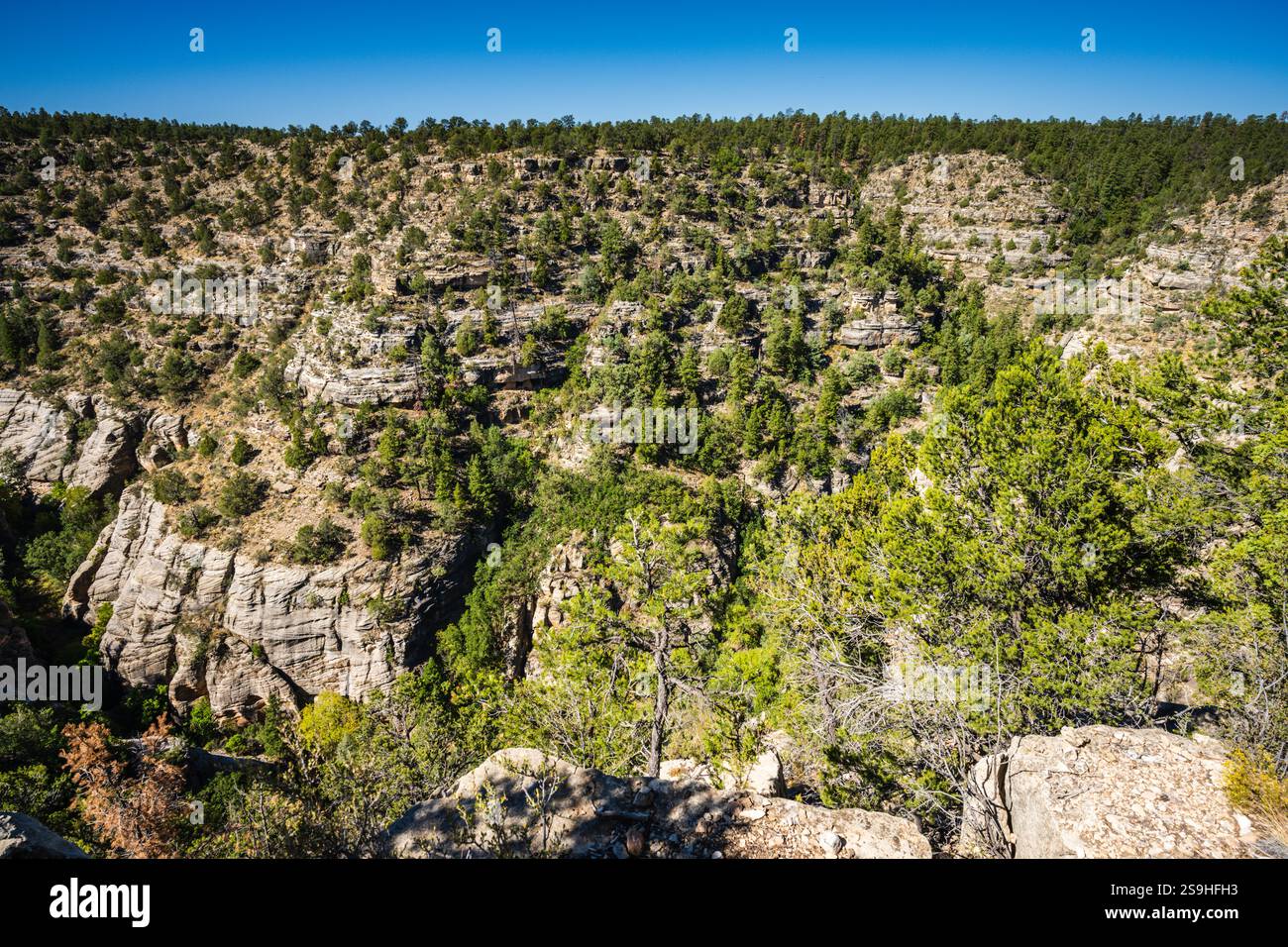 View from the Island Trail at Walnut Canyon National Monument. The Island Trail drops down 240 concrete steps into the depths of Walnut Canyon, where Stock Photo
