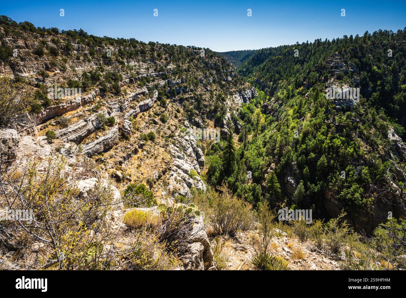 View from the Island Trail at Walnut Canyon National Monument. The Island Trail drops down 240 concrete steps into the depths of Walnut Canyon, where Stock Photo
