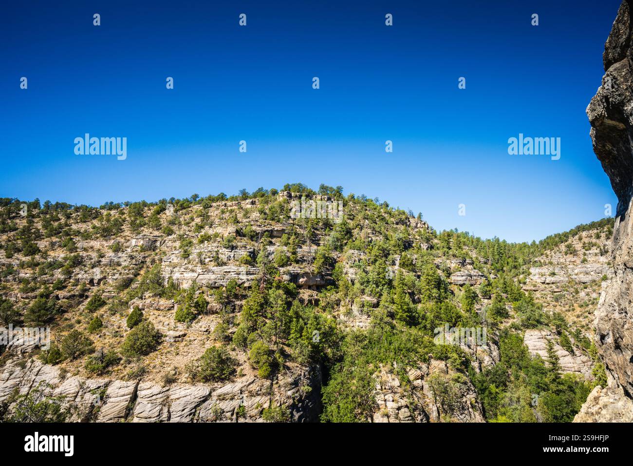 View from the Island Trail at Walnut Canyon National Monument. The Island Trail drops down 240 concrete steps into the depths of Walnut Canyon, where Stock Photo