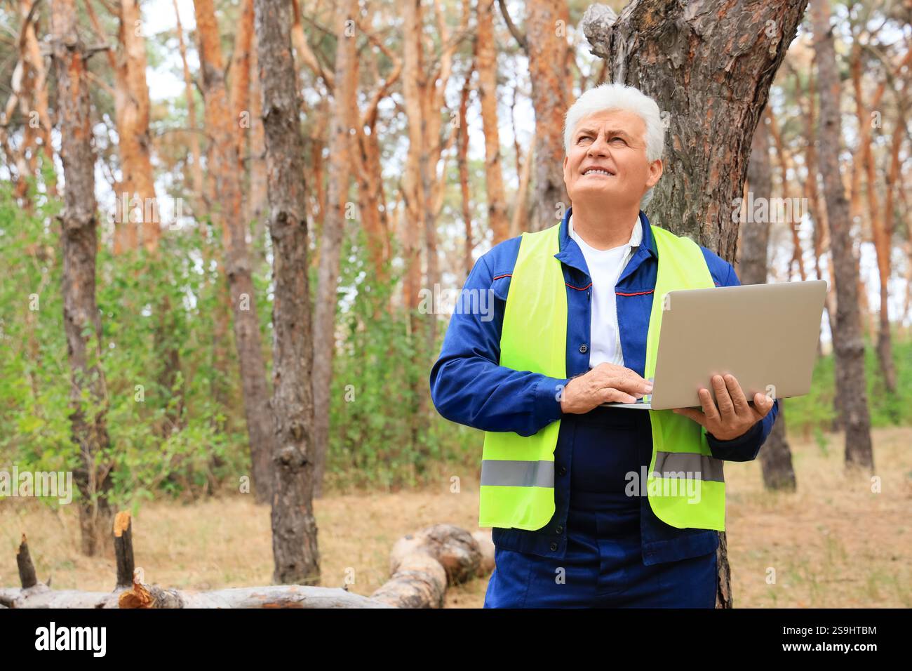 Senior forester with laptop in forest Stock Photo