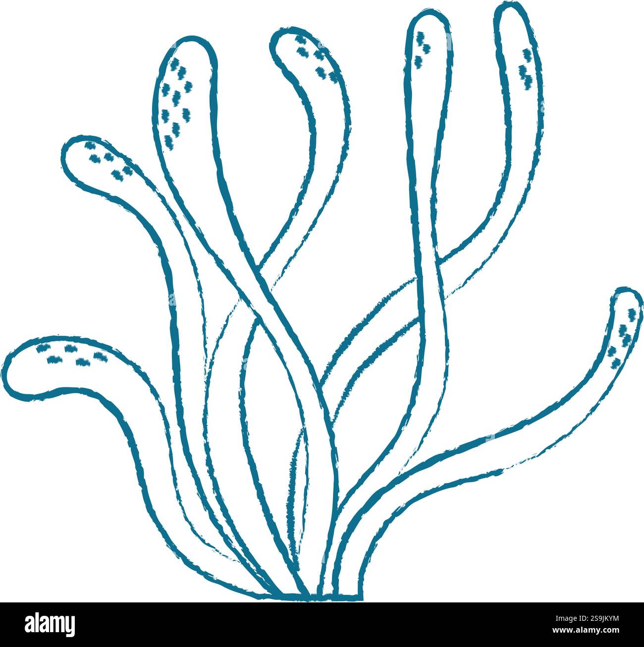 Underwater Seaweed Doodle Crayon Style Stock Vector Image & Art - Alamy