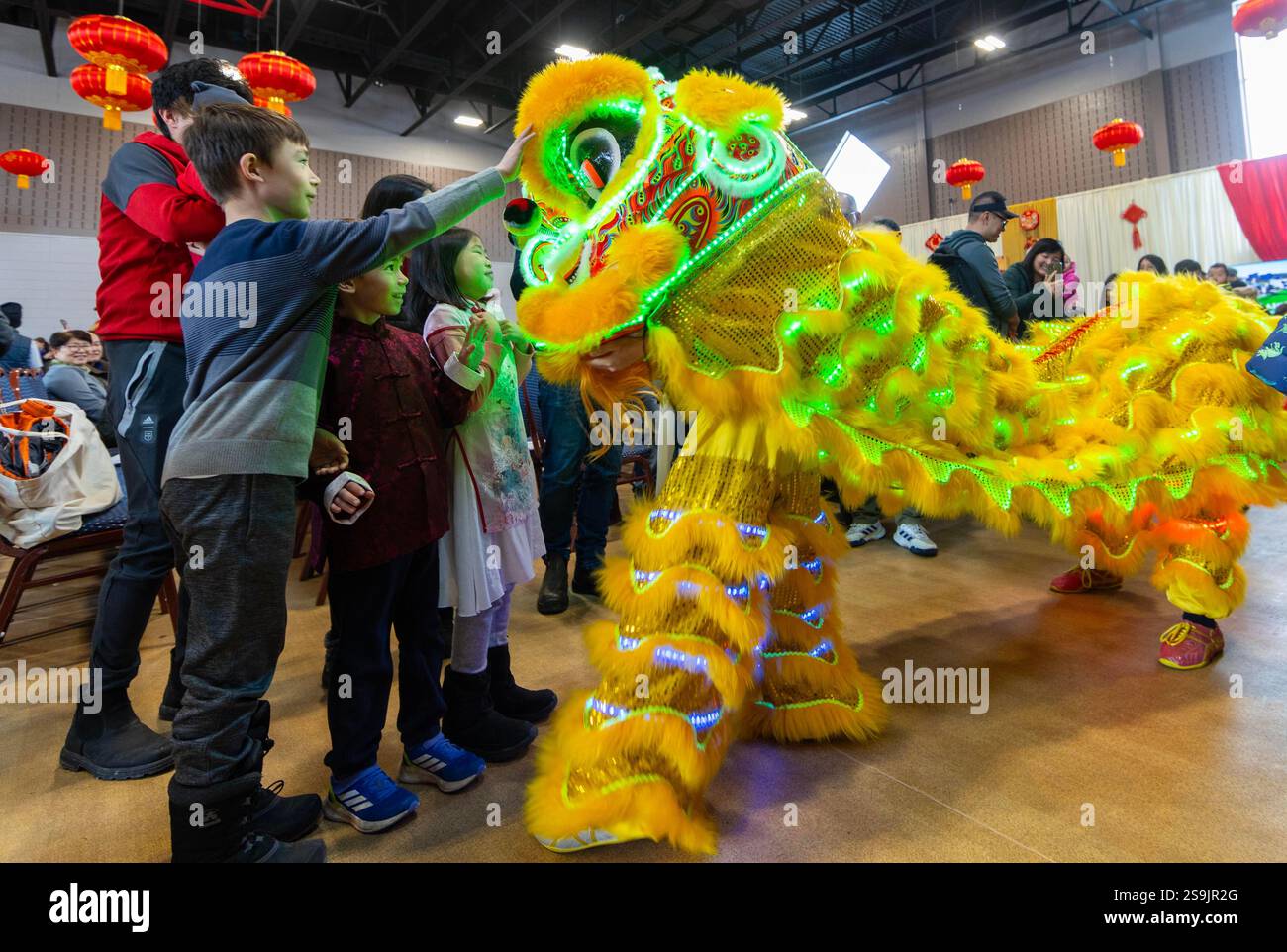 chinese new year festival toronto 2025