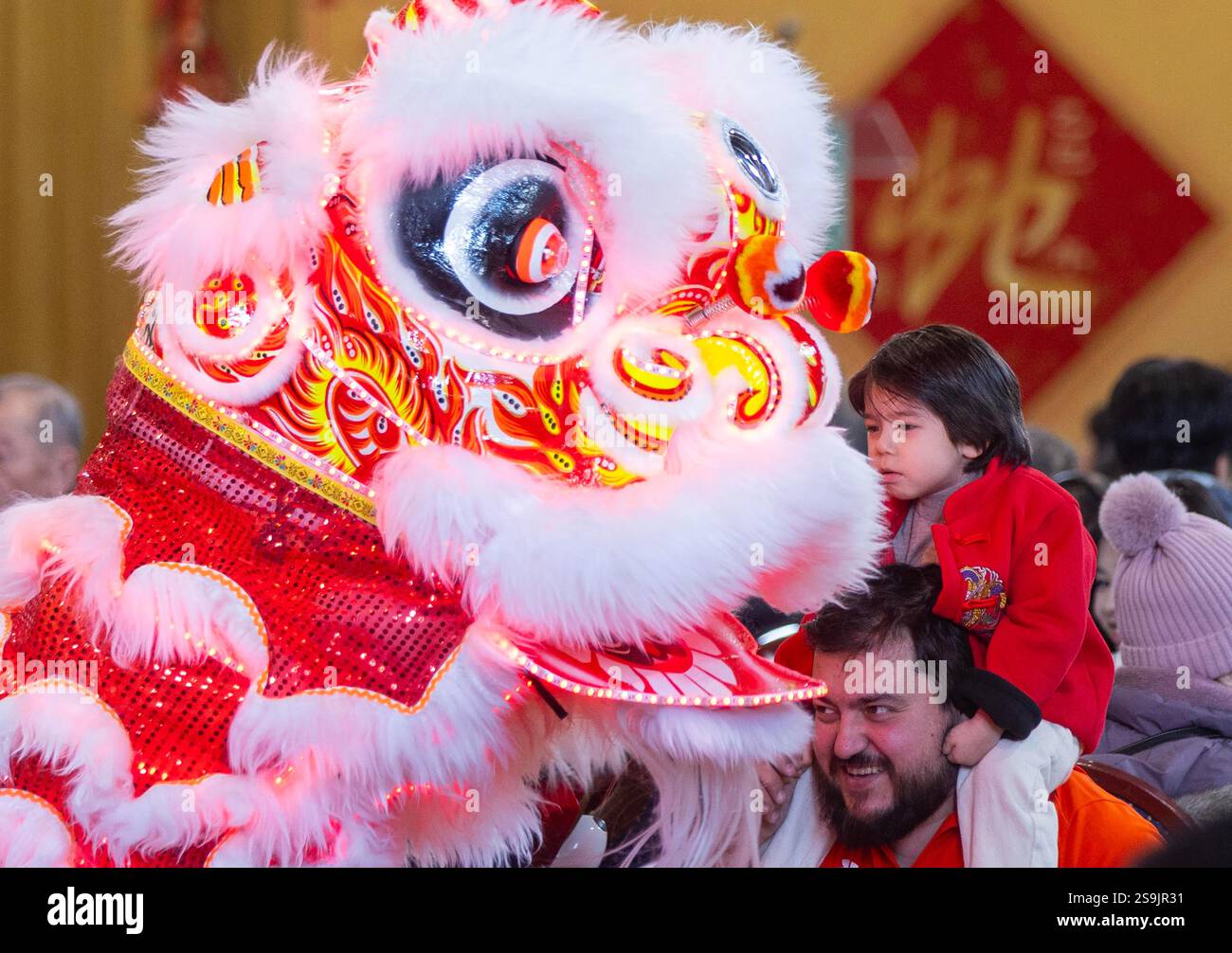 chinese new year festival toronto 2025