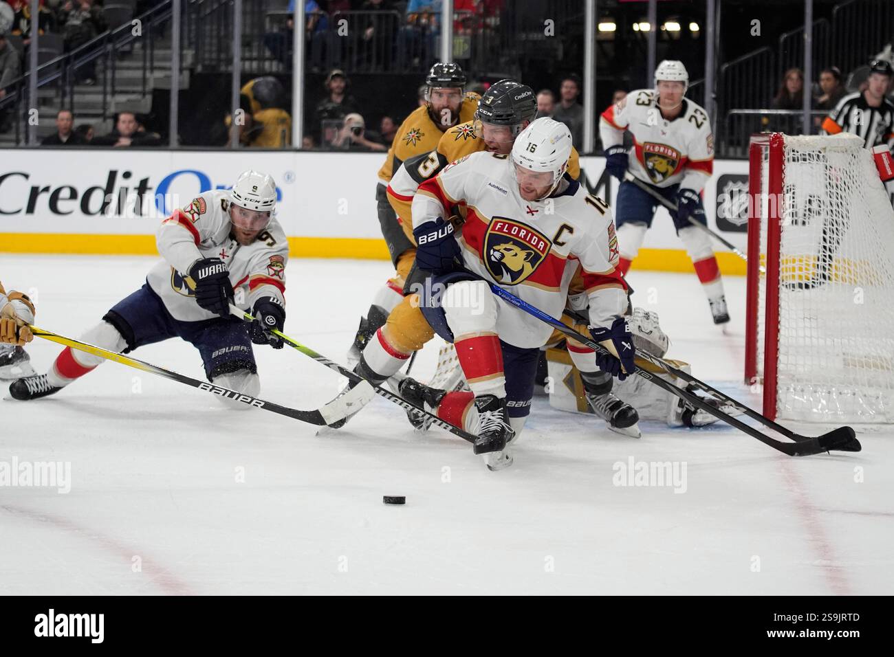 Vegas Golden Knights defenseman Brayden McNabb (3) and Florida Panthers