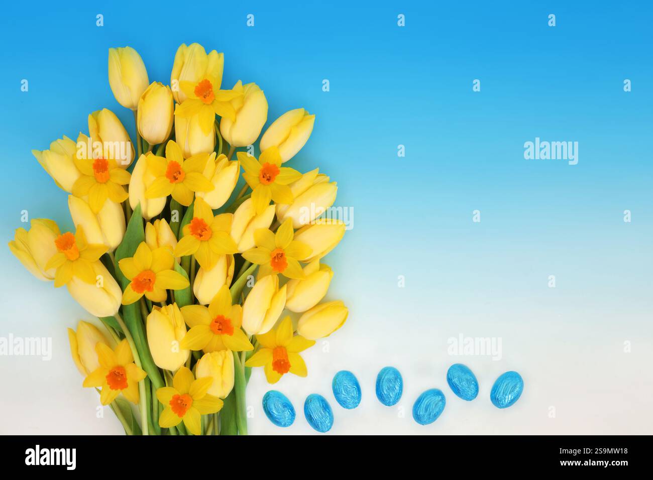 Easter eggs and yellow narcissus and tulip flowers of Spring on ...
