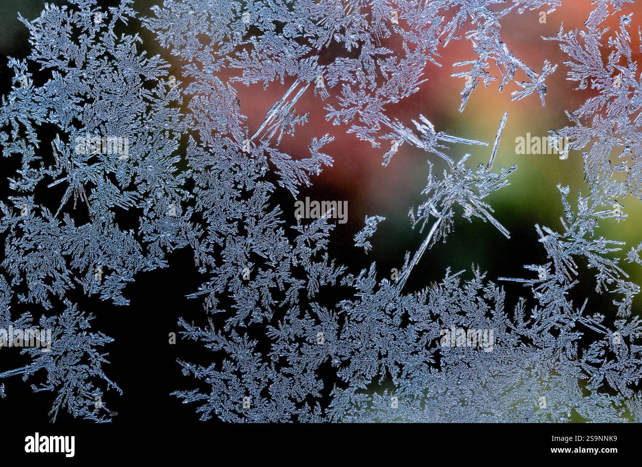 Ice crystals forming on a window. Stock Photo