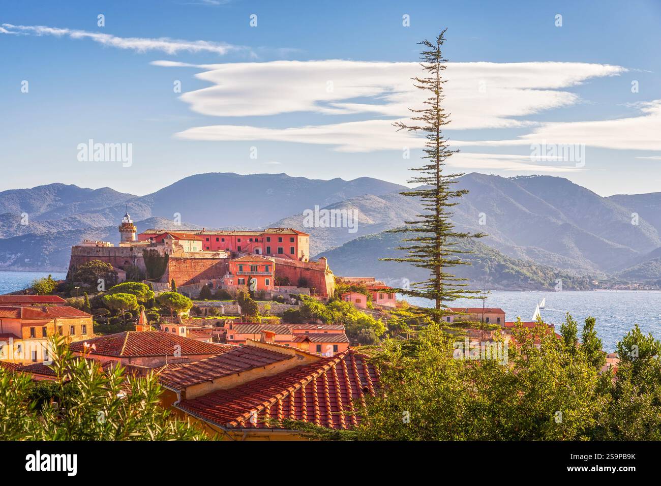 Elba island, Forte Falcone view and a tree in Portoferraio. Tuscany ...
