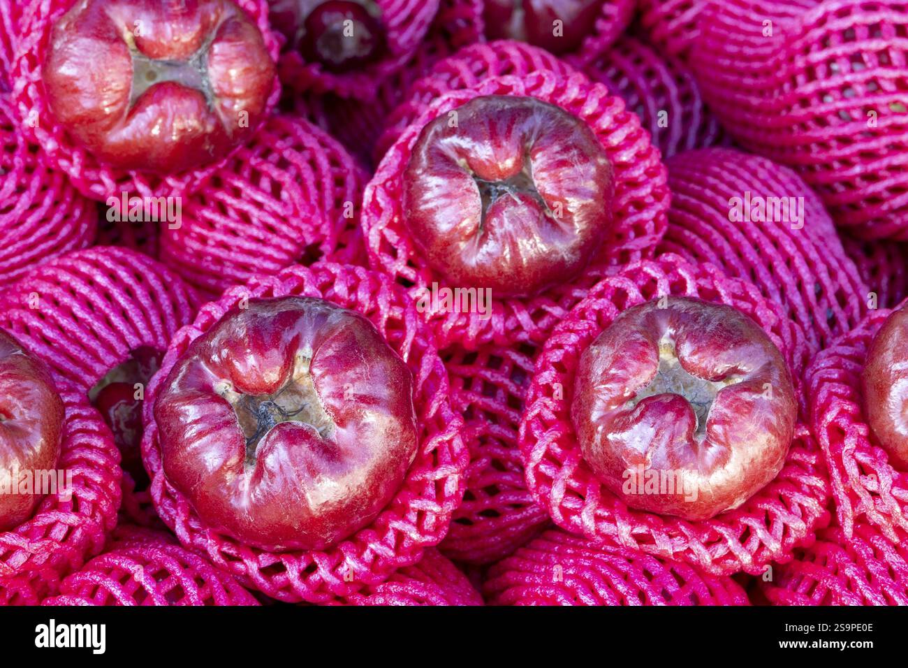 Java apple (Syzygium samarangense), rose apple, weekly market in Kuah ...