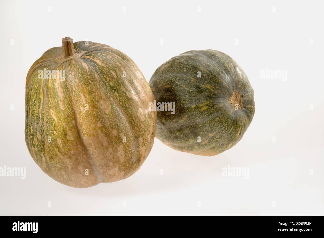 Vegetables, Two pumpkins Cucurbita moschata on a white background Stock Photo