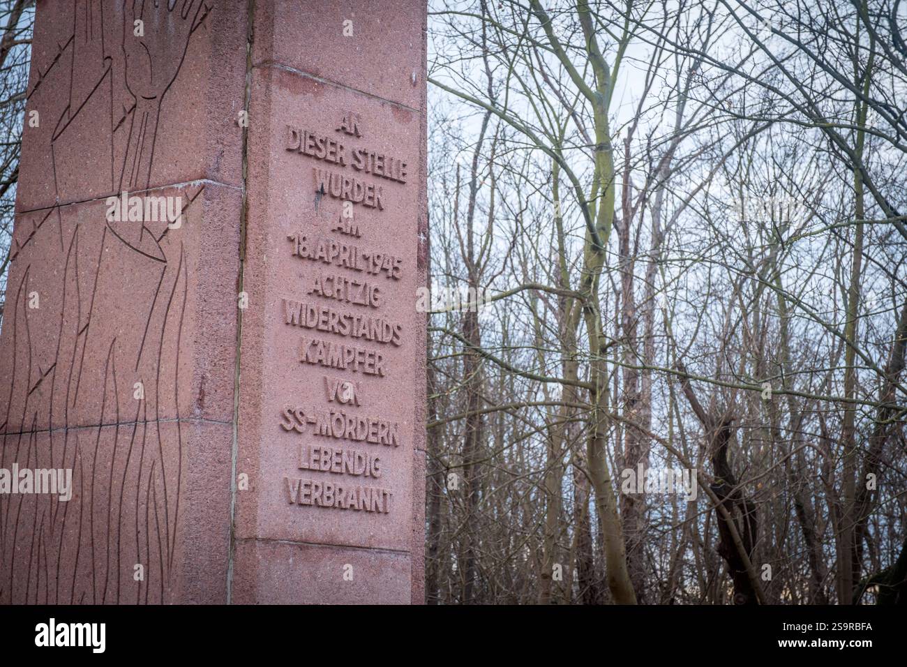 Am 27. Januar jährt sich die Befreiung des KZ Auschwitz zum 80. Mal ...