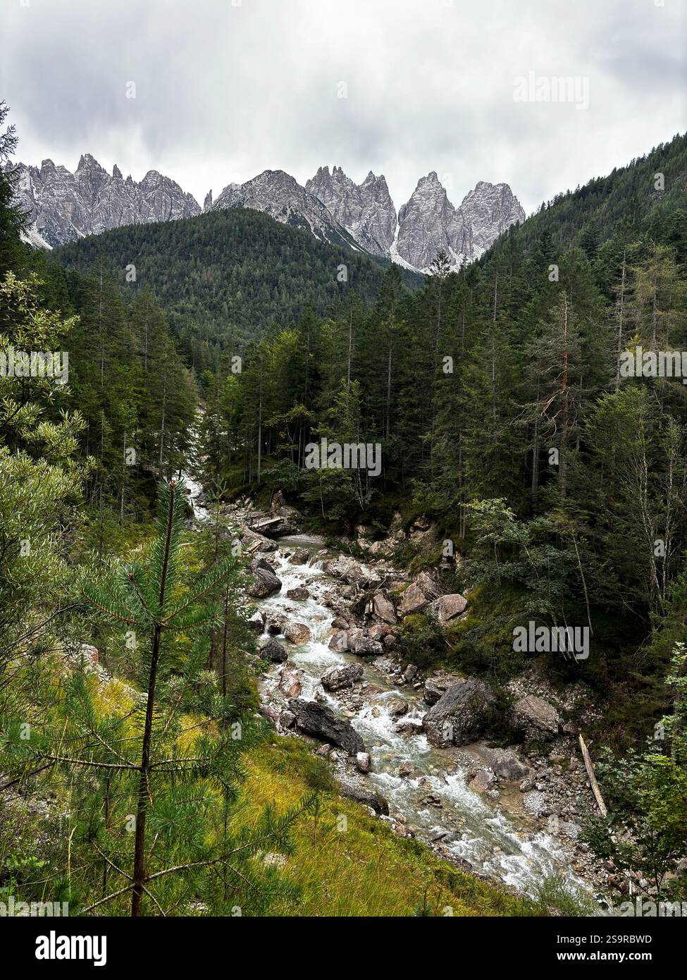 Alpine scenery - Smartphone Captured Stock Image