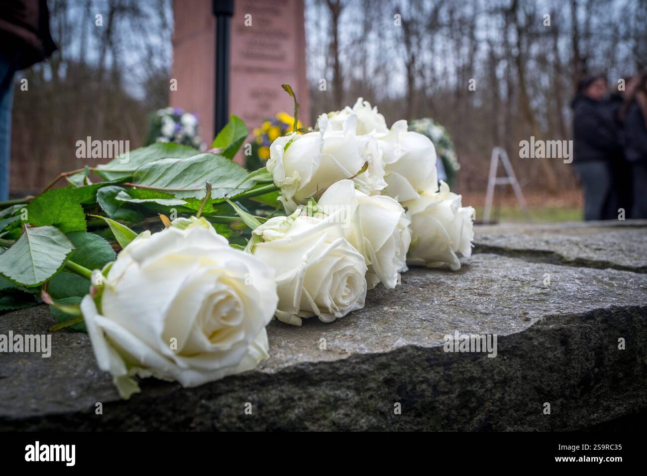 Am 27. Januar jährt sich die Befreiung des KZ Auschwitz zum 80. Mal ...