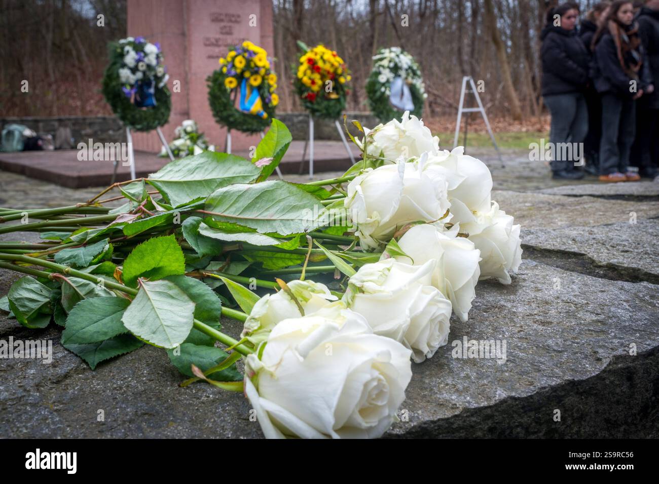 Am 27. Januar jährt sich die Befreiung des KZ Auschwitz zum 80. Mal ...