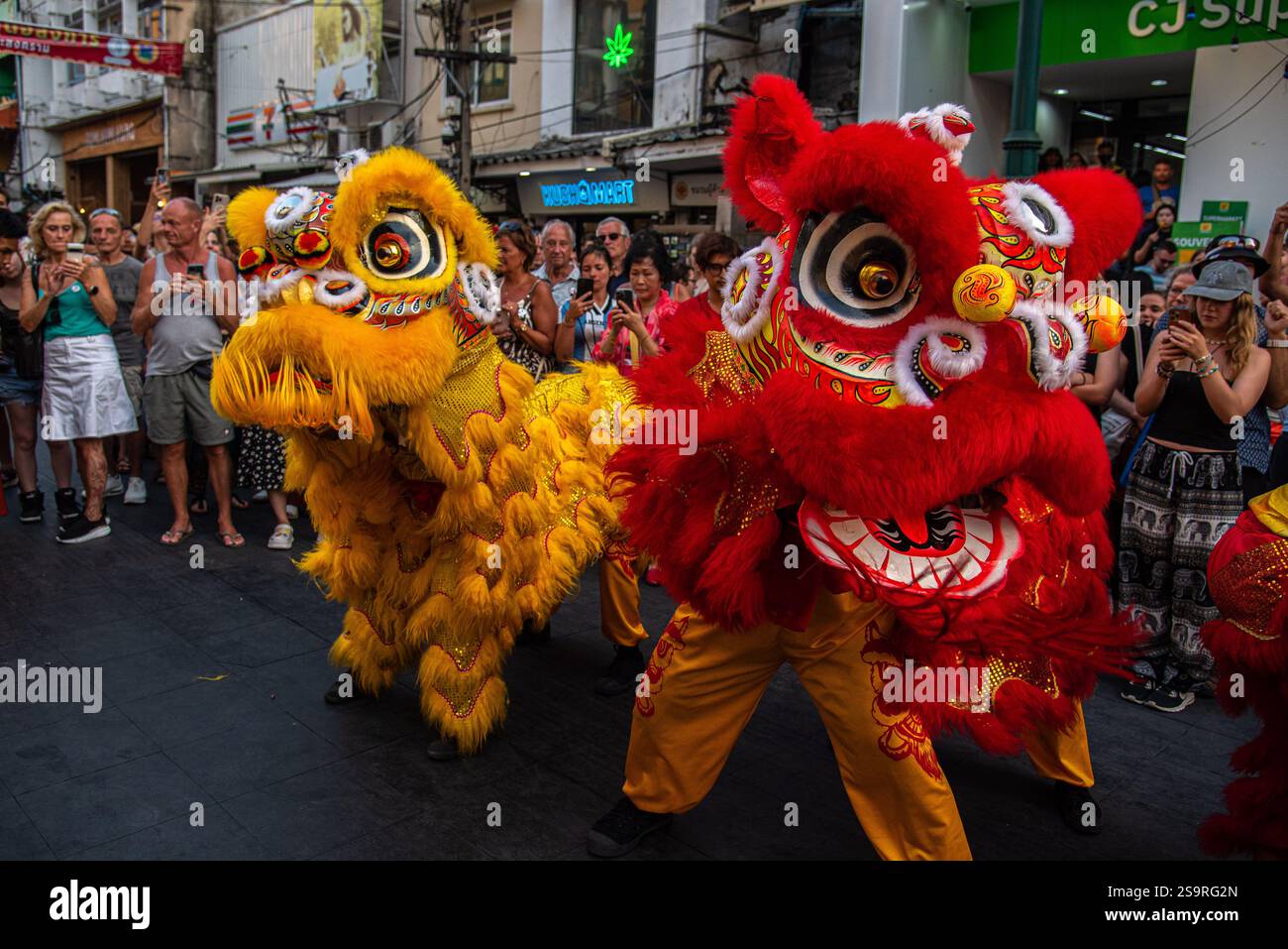 chinese new year snake dance