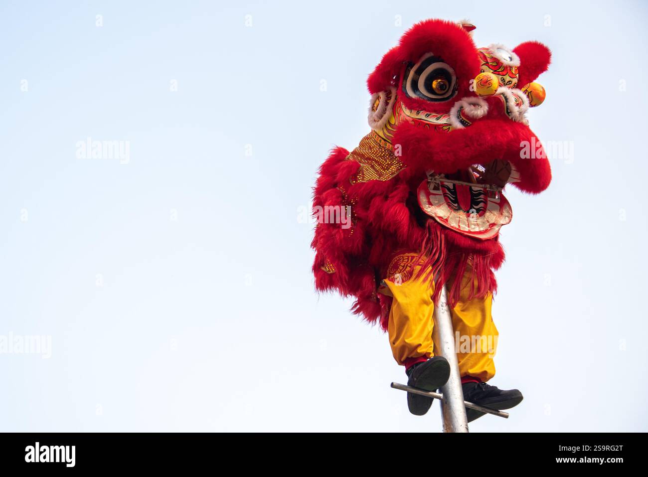 chinese new year snake dance