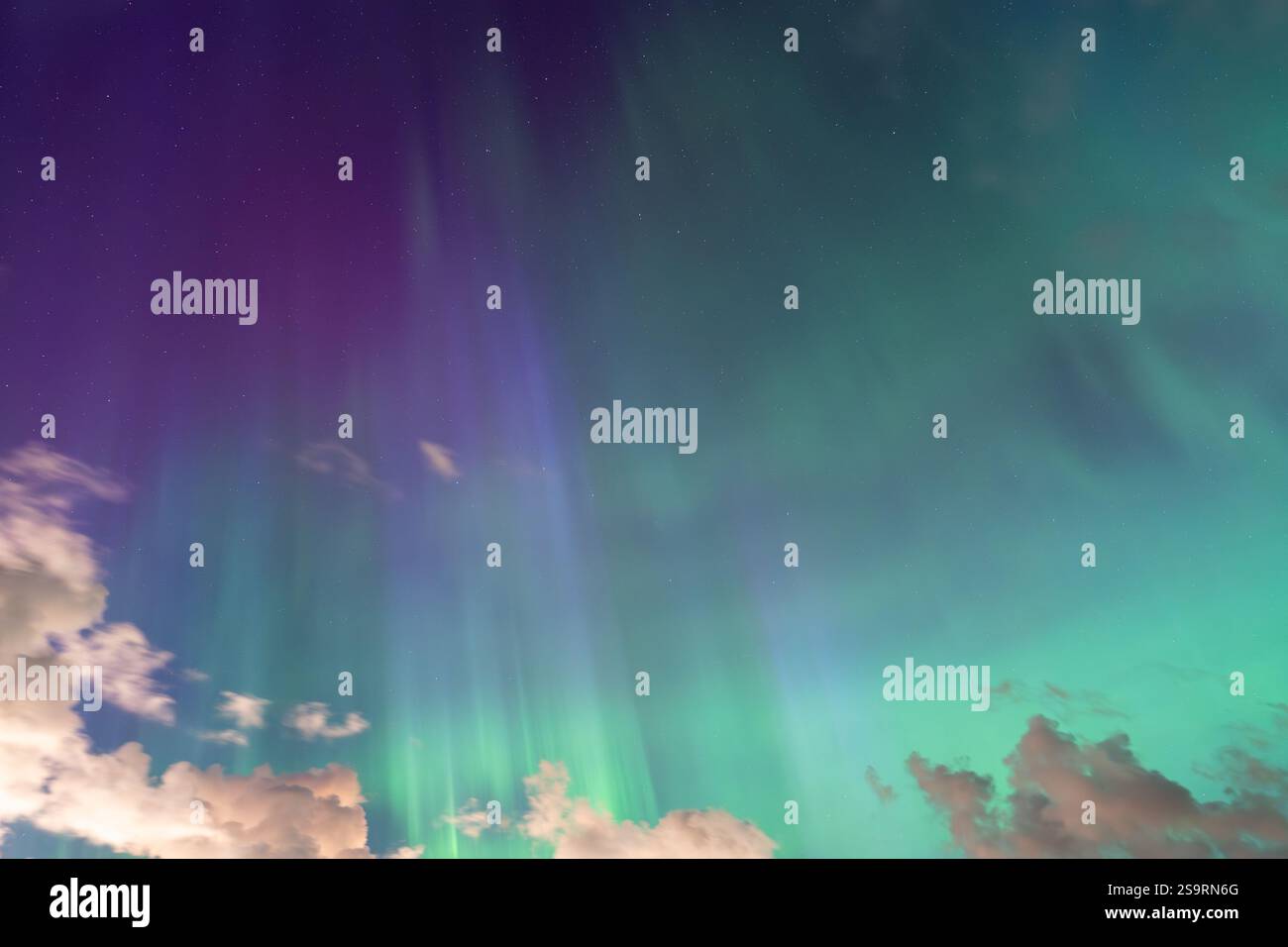 Mesmerizing Northern Lights: bright green and purple lights of Aurora ...