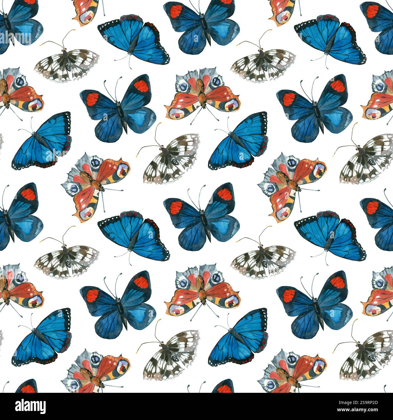 Butterflies of bright colors, peacock butterfly, nymphalidae, Morpho all objects are hand-drawn with watercolor. Seamless watercolor pattern. Stock Photo