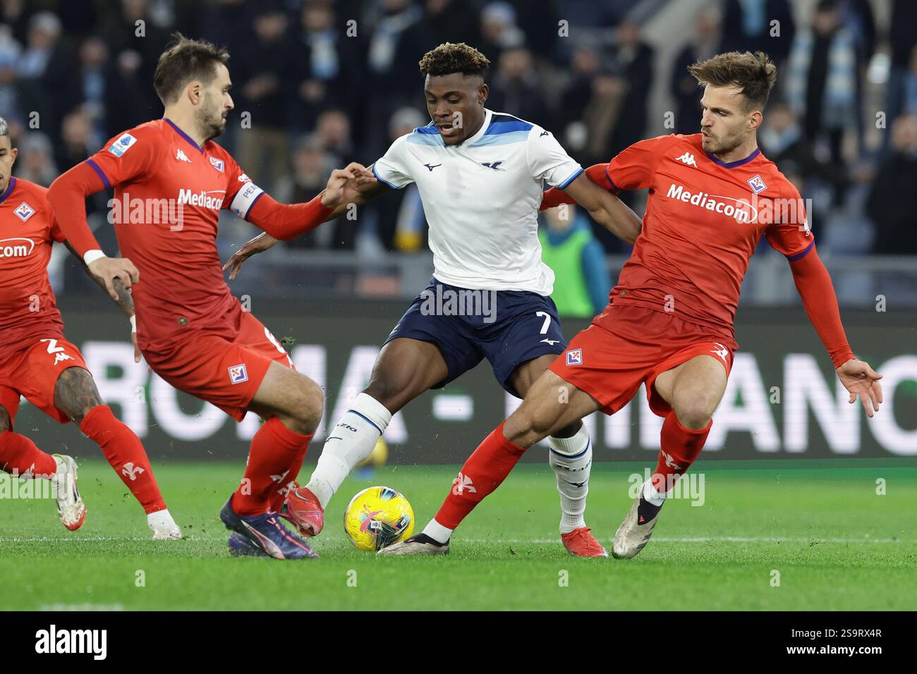 Marin luca hi-res stock photography and images - Alamy, image size:1300x956