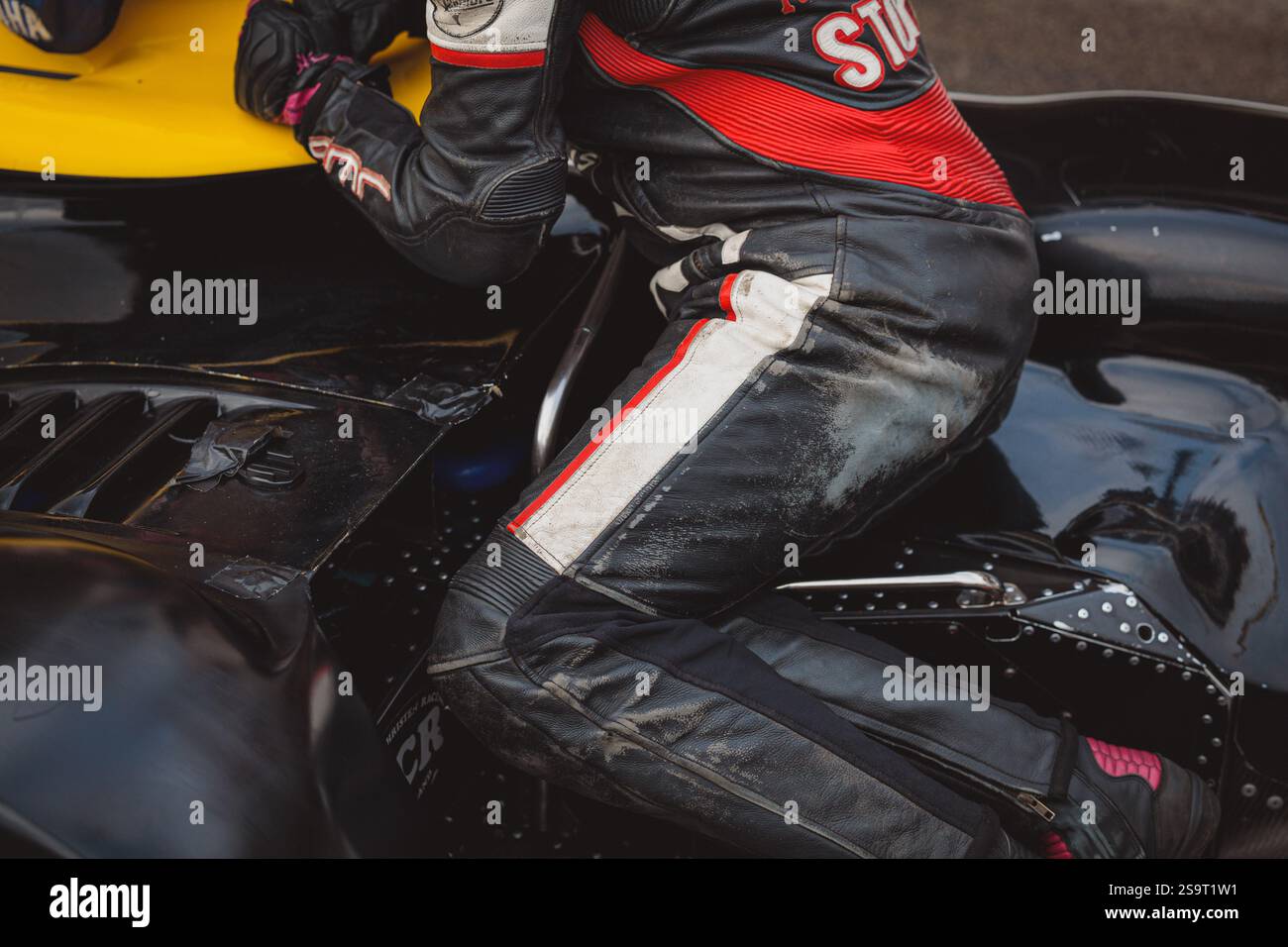 Goodwood 81st Members Meeting - Stock Image