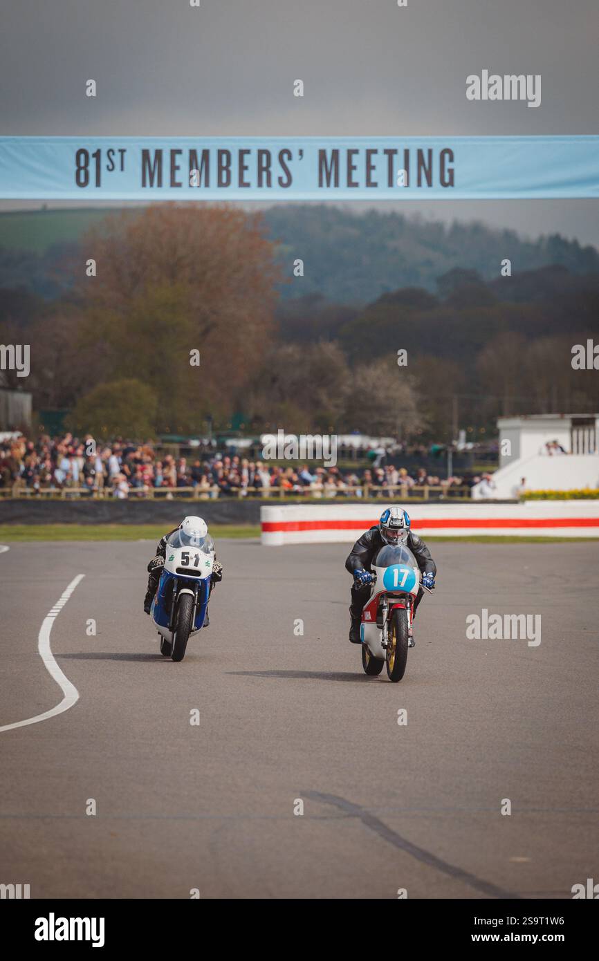 Goodwood 81st Members Meeting - Stock Image