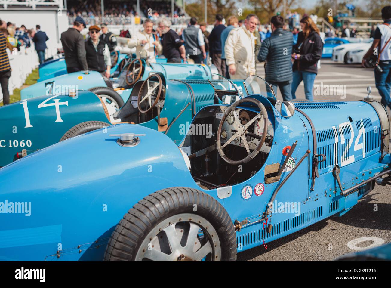 Goodwood 81st Members Meeting - Stock Image