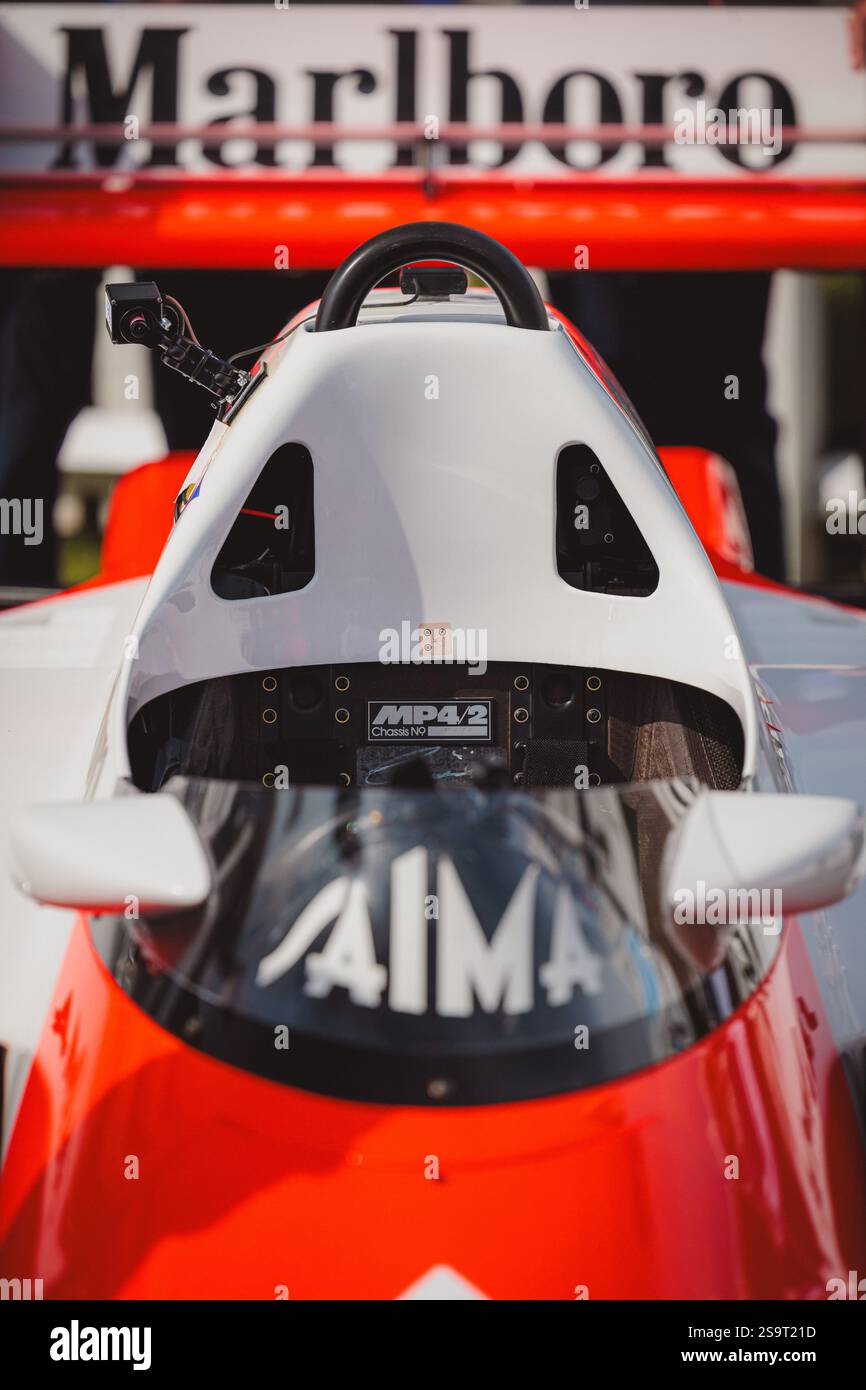 Goodwood 81st Members Meeting - Stock Image