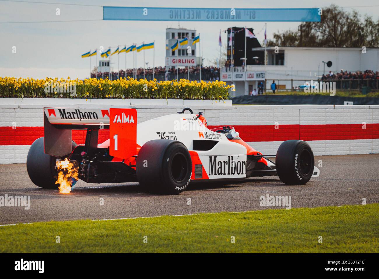 Goodwood 81st Members Meeting - Stock Image