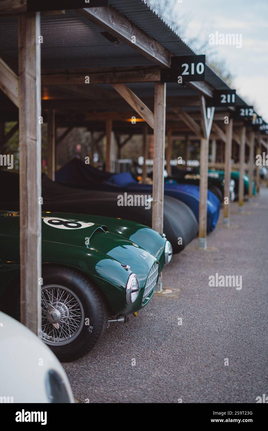 Goodwood 81st Members Meeting - Stock Image
