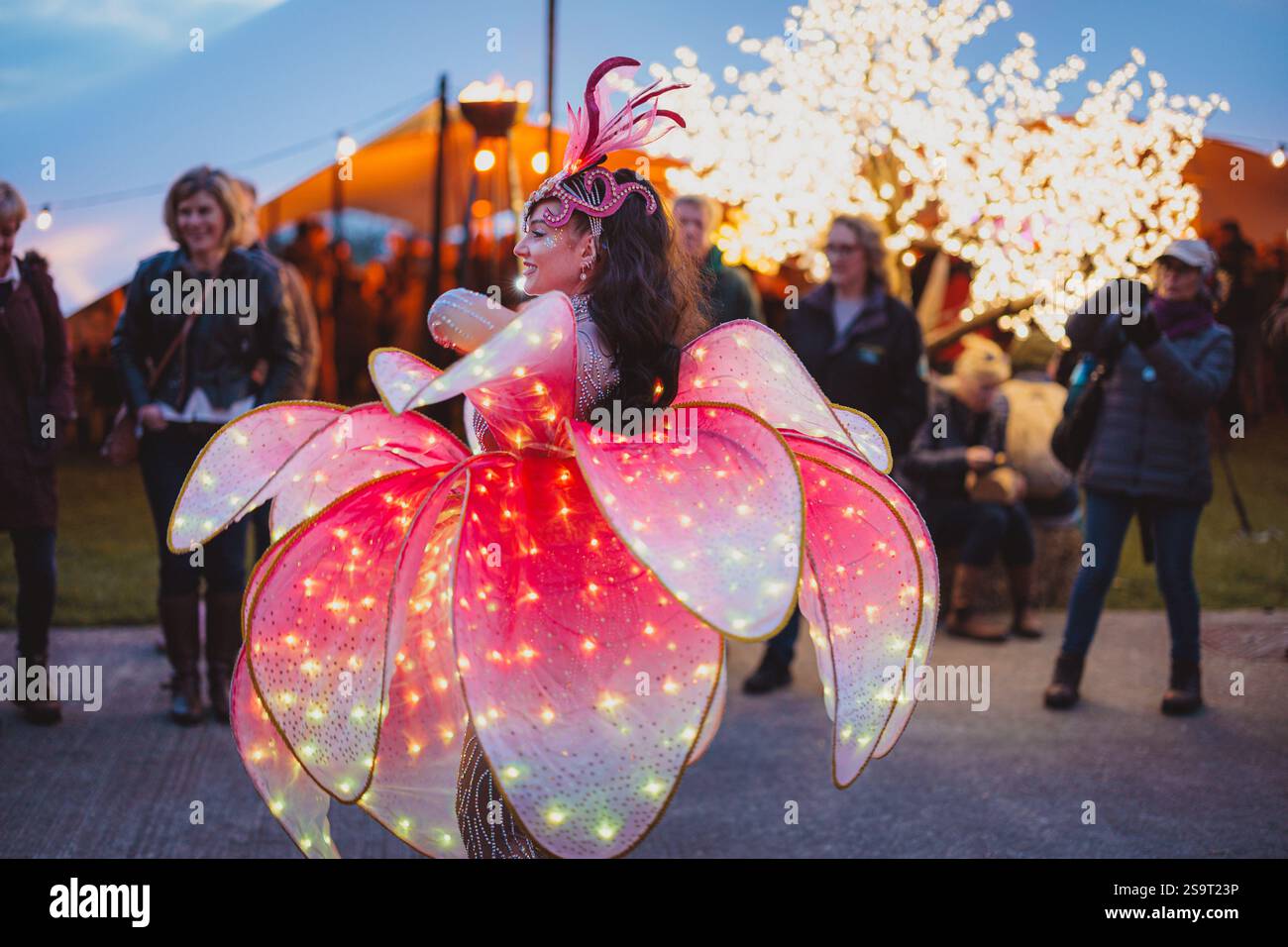 Goodwood 81st Members Meeting - Stock Image