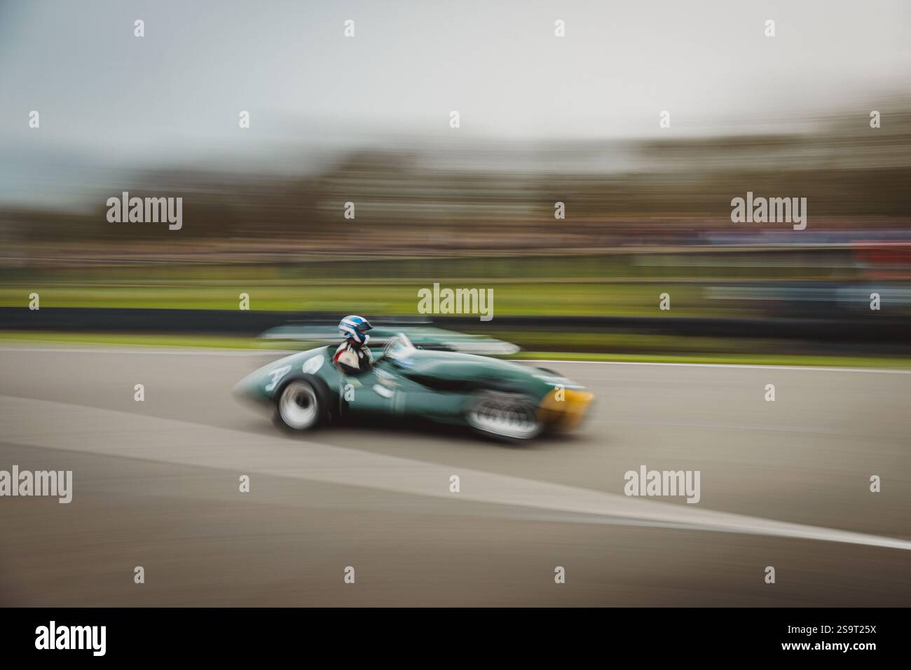 Goodwood 81st Members Meeting - Stock Image