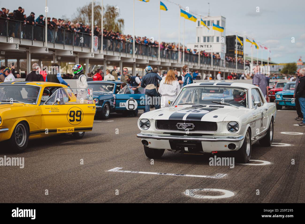 Goodwood 81st Members Meeting - Stock Image