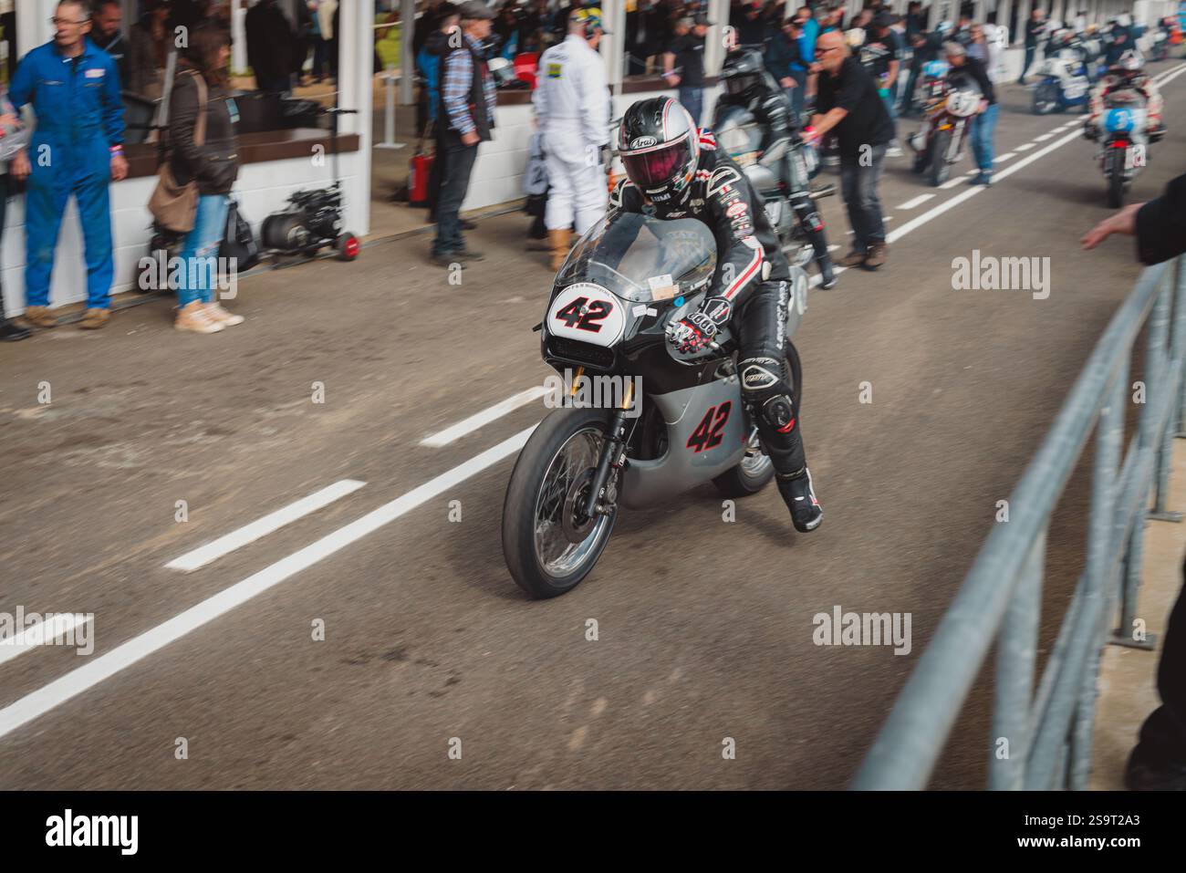 Goodwood 81st Members Meeting - Stock Image
