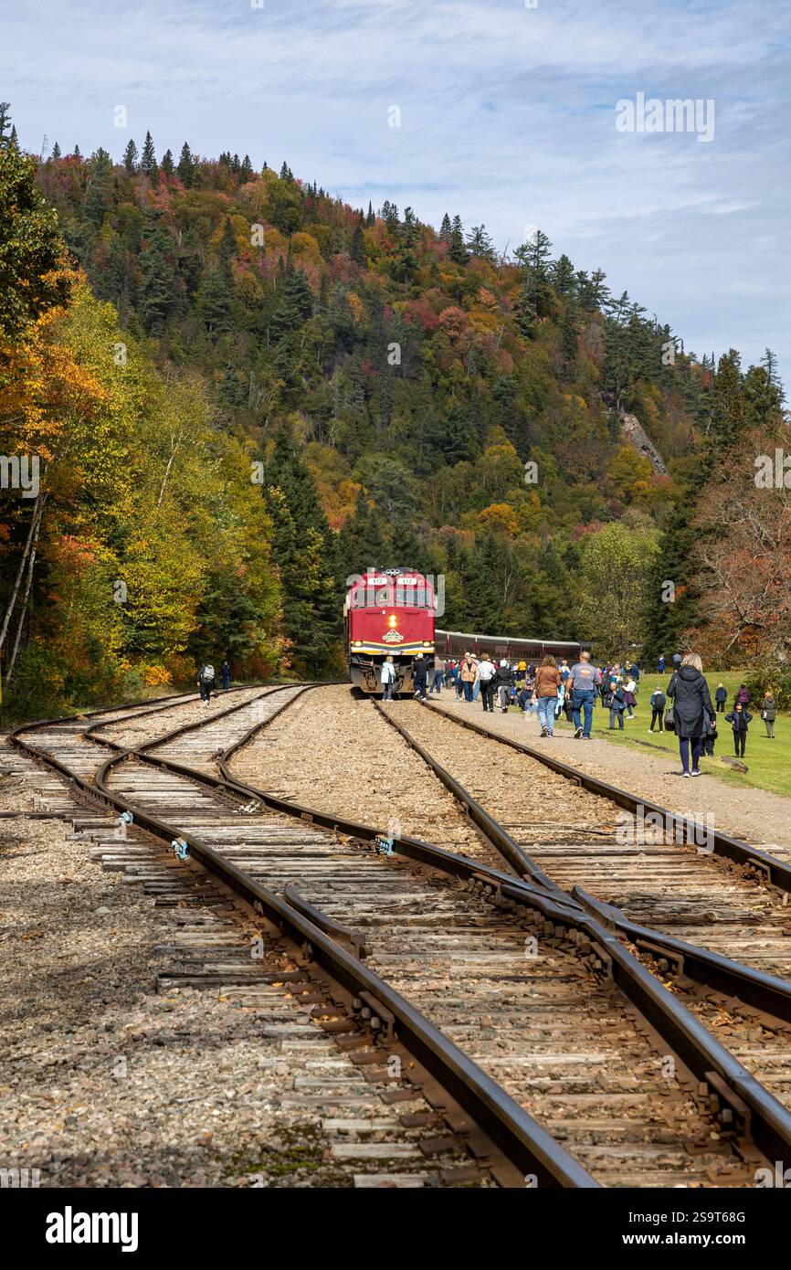 Tourist Train in a wilderness area Stock Photo - Alamy