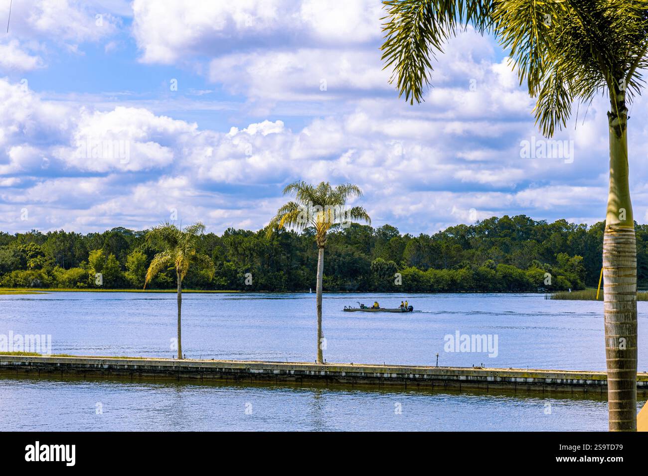disney magic kingdom park orlando