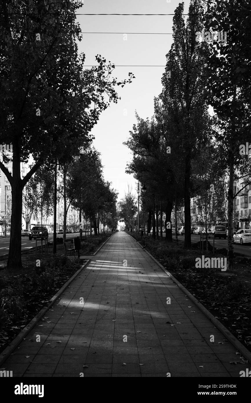 Black and white atmosphere Black and White Stock Photos & Images - Alamy