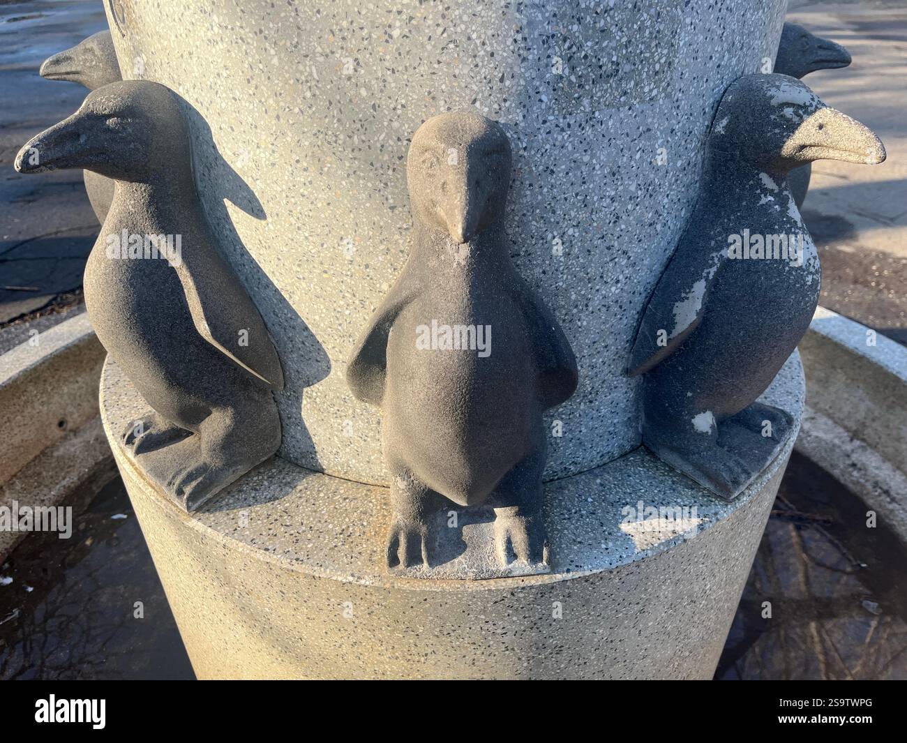 penguins, art, stone penguins, urban, public park, drinking fountain, penguin statues, outdoor decor, decorative penguins, water feature decor - Smartphone Captured Stock Image