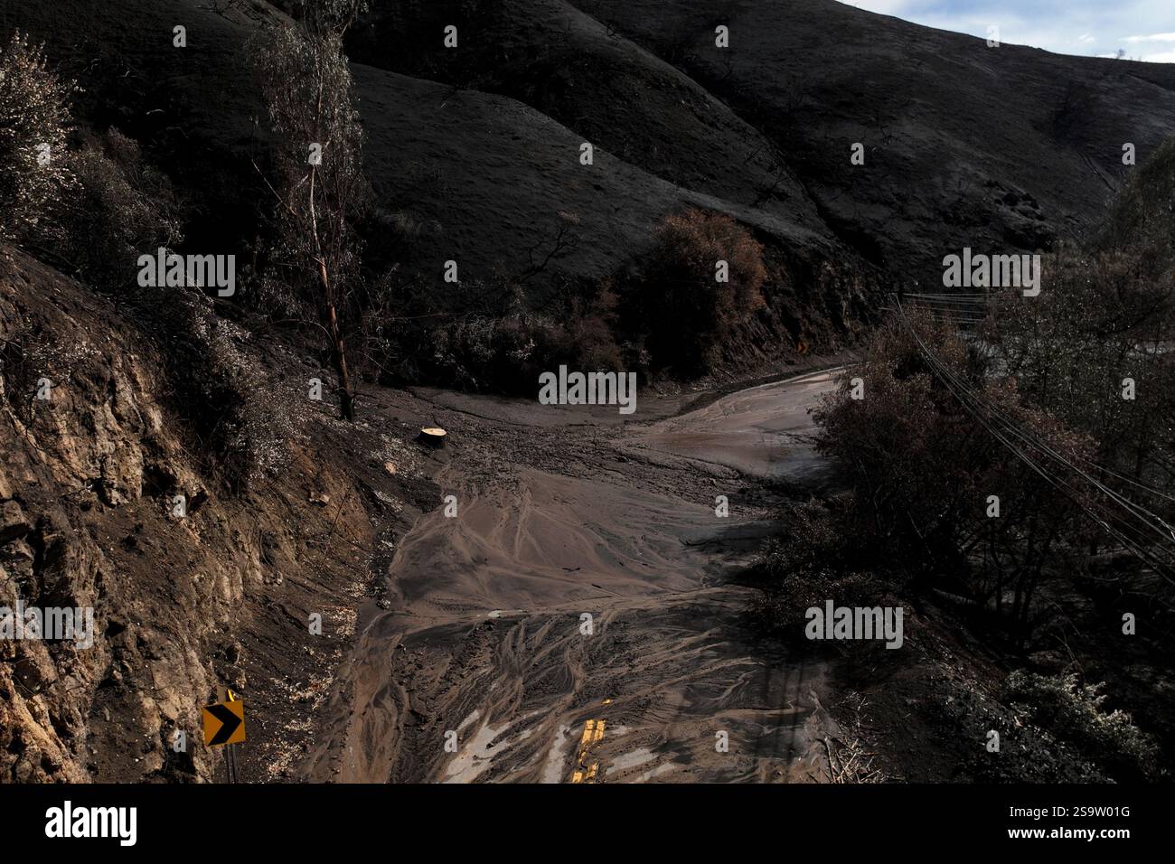 Mud covers Topanga Canyon Rd. on the Palisades Fire burn area after a