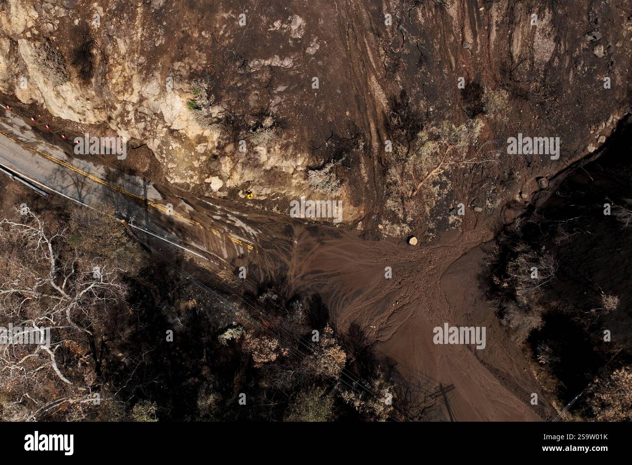 Mud covers Topanga Canyon Rd. on the Palisades Fire burn area after a