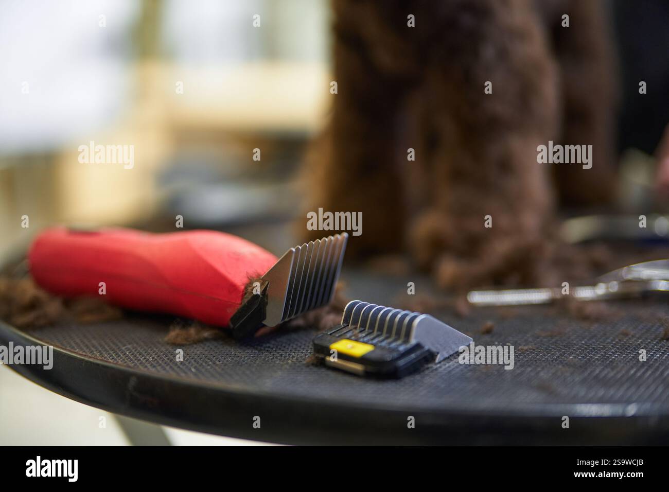 Dog Using Tools Dog grooming session with clippers and tools on a workstation Stock ...