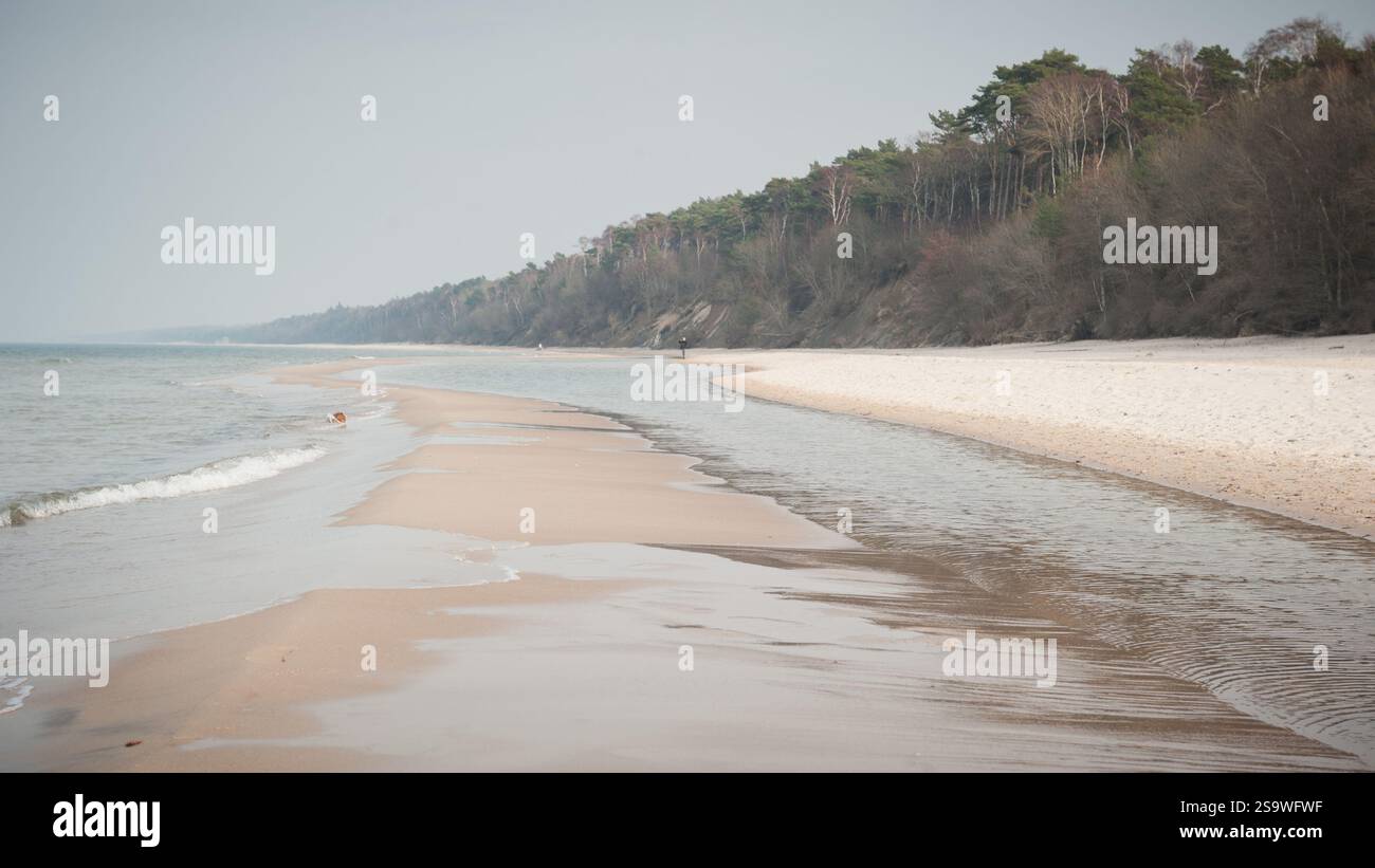 Beach With Sandbar And Person Walking Along The Shore Stock Photo Alamy beach-with-sandbar-and-person-walking-along-the-shore-stock-photo-alamy