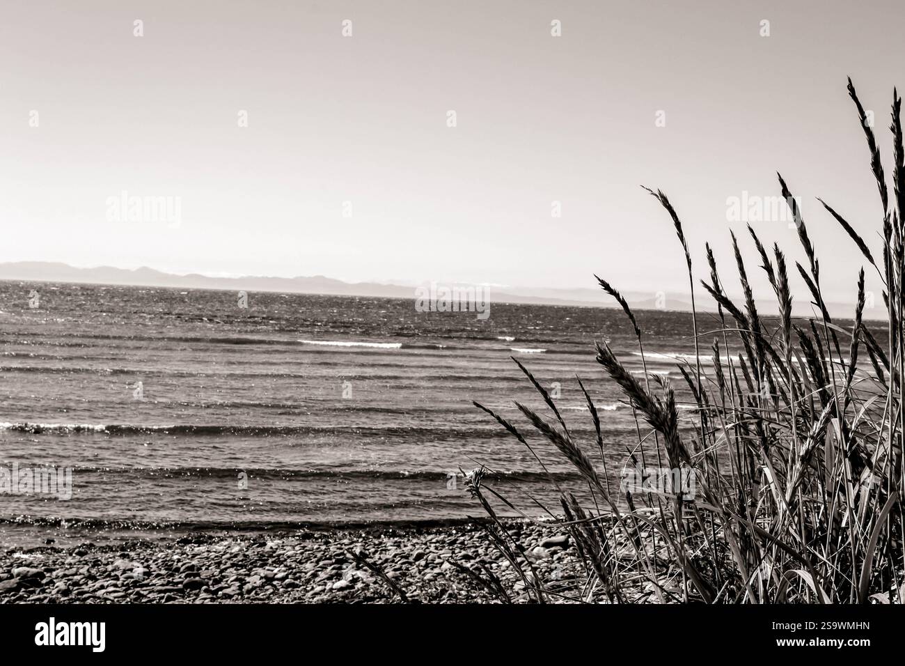 Black and white rocky beach hi-res stock photography and images - Alamy