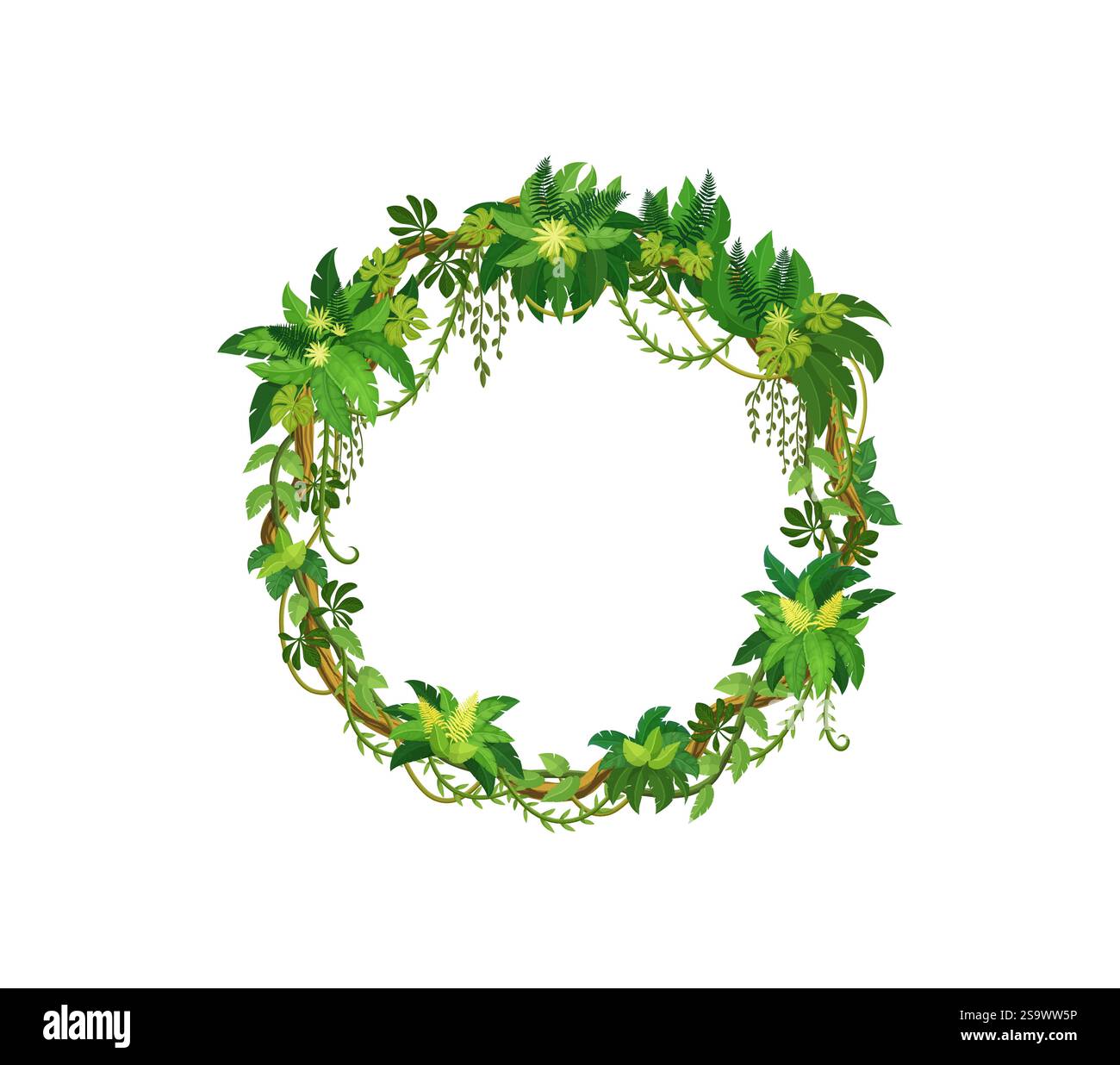 Liana frame of jungle ivy and tropical rainforest vine leaves, vector ...