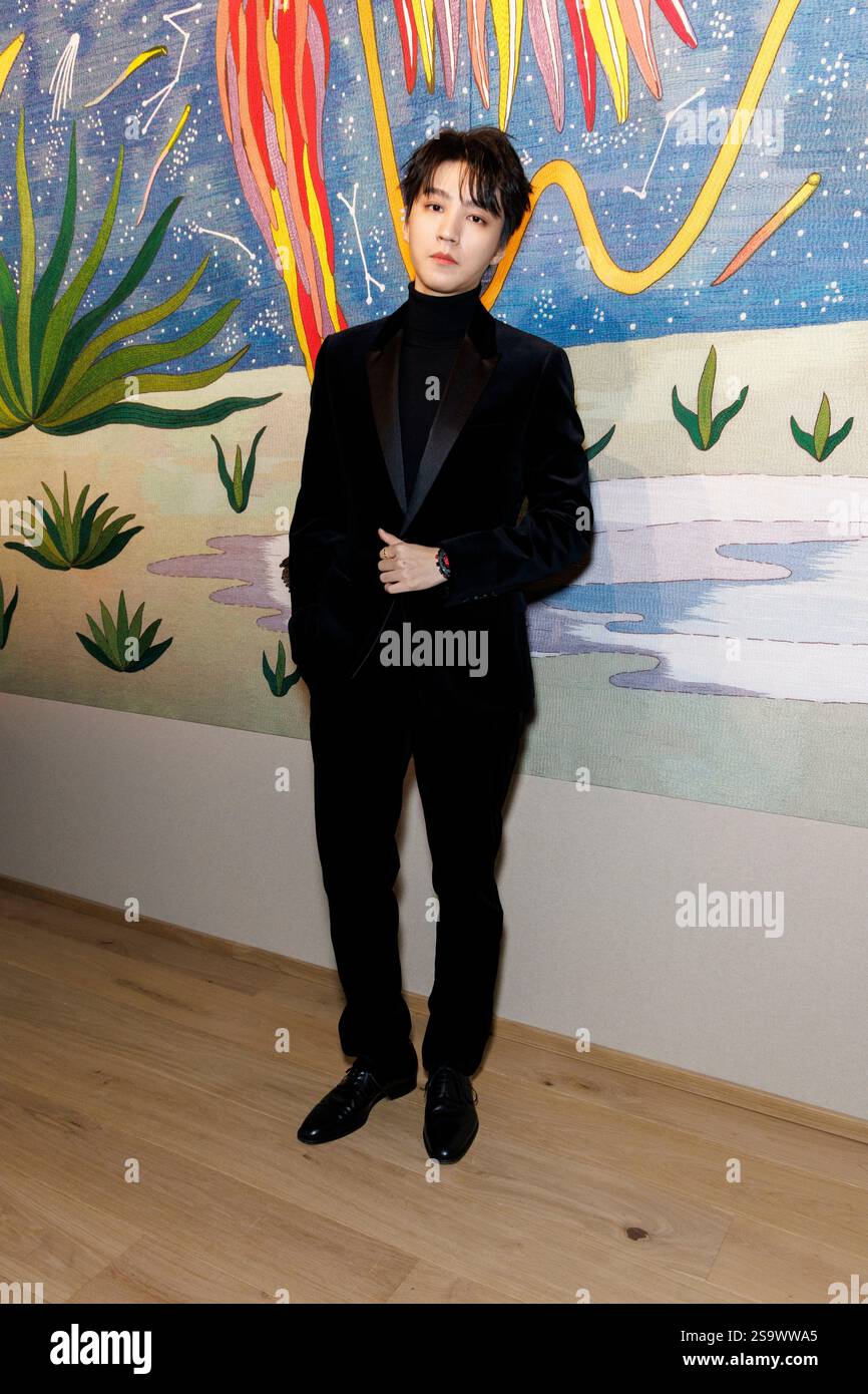 Karry Wang attends CHRISTIAN DIOR Haute Couture SpringSummer 2025