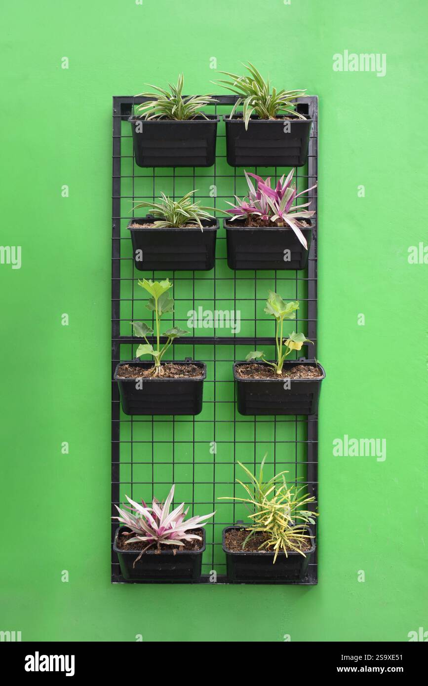 Vertical wall decoration hi-res stock photography and images - Alamy