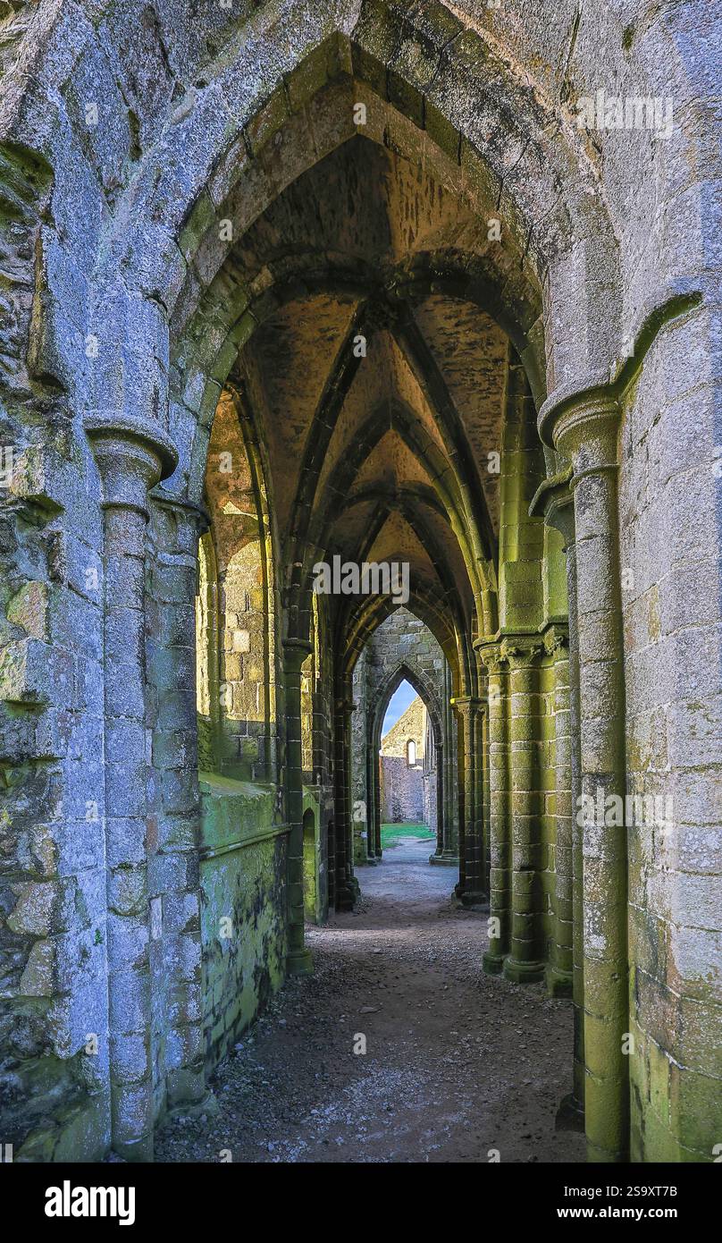 France, Brittany, Plougonvelin. Ruins of the Abbey of Saint Mathieu ...