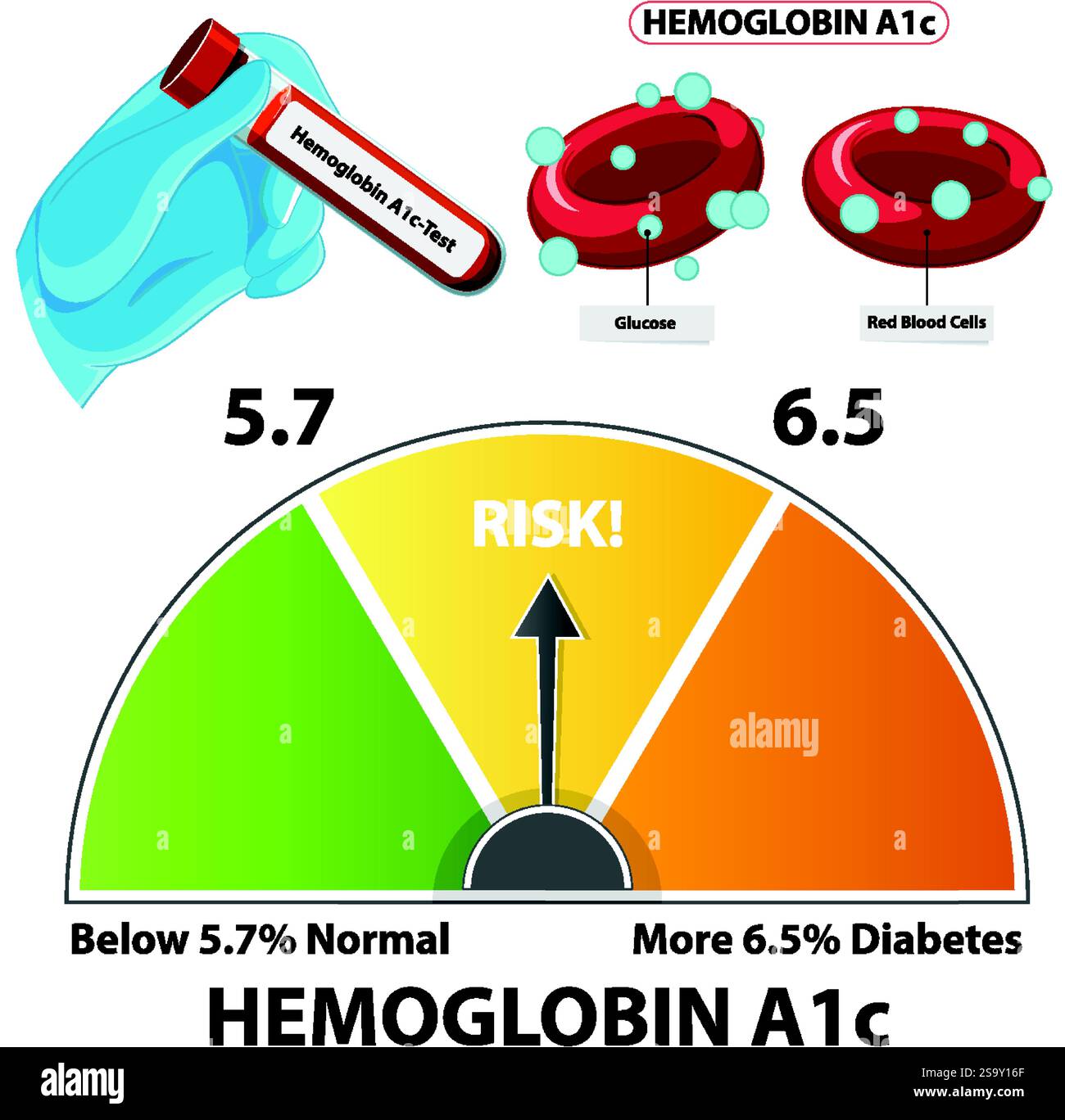 Illustration of blood test and diabetes risk levels Stock Vector Image ...