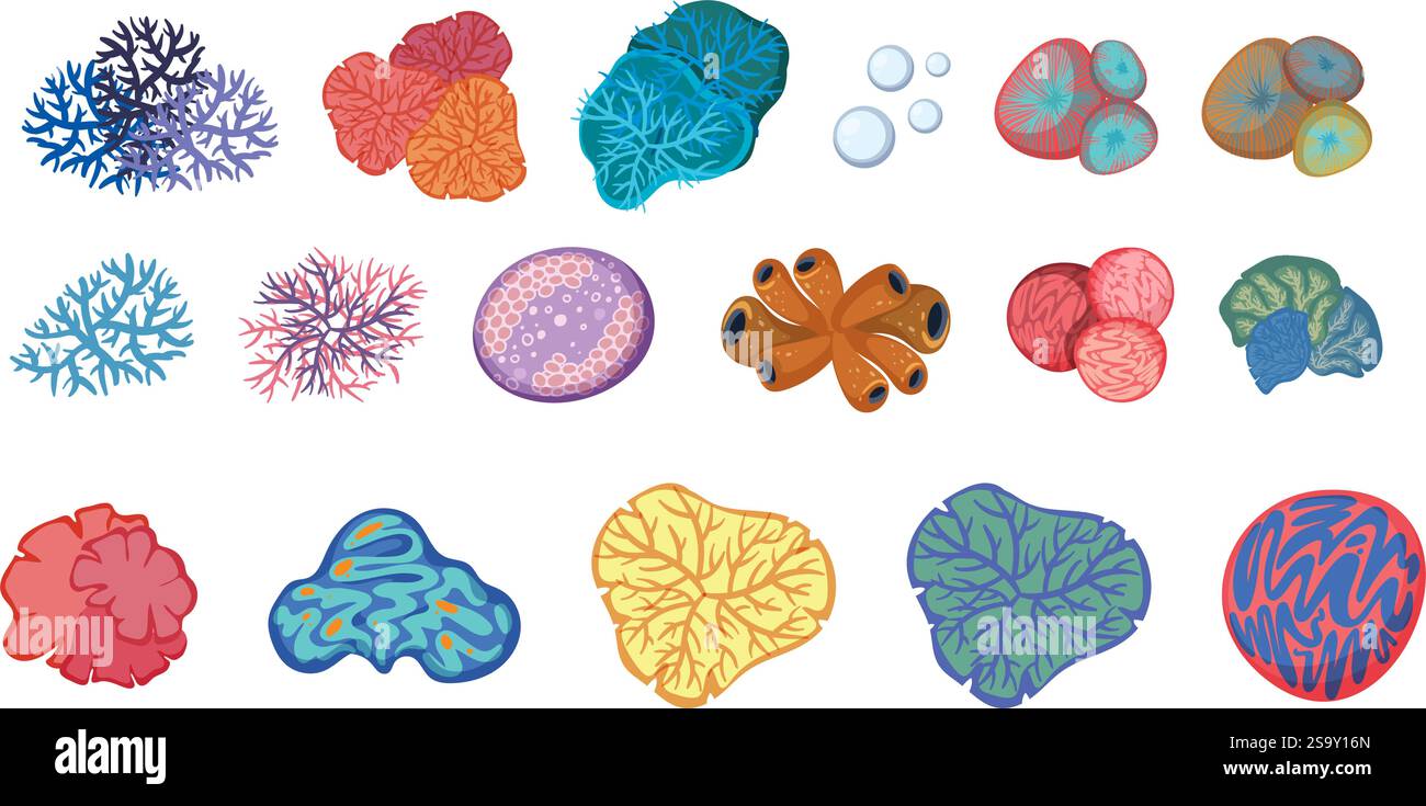 Vibrant marine organisms showcasing diverse oceanic life Stock Vector