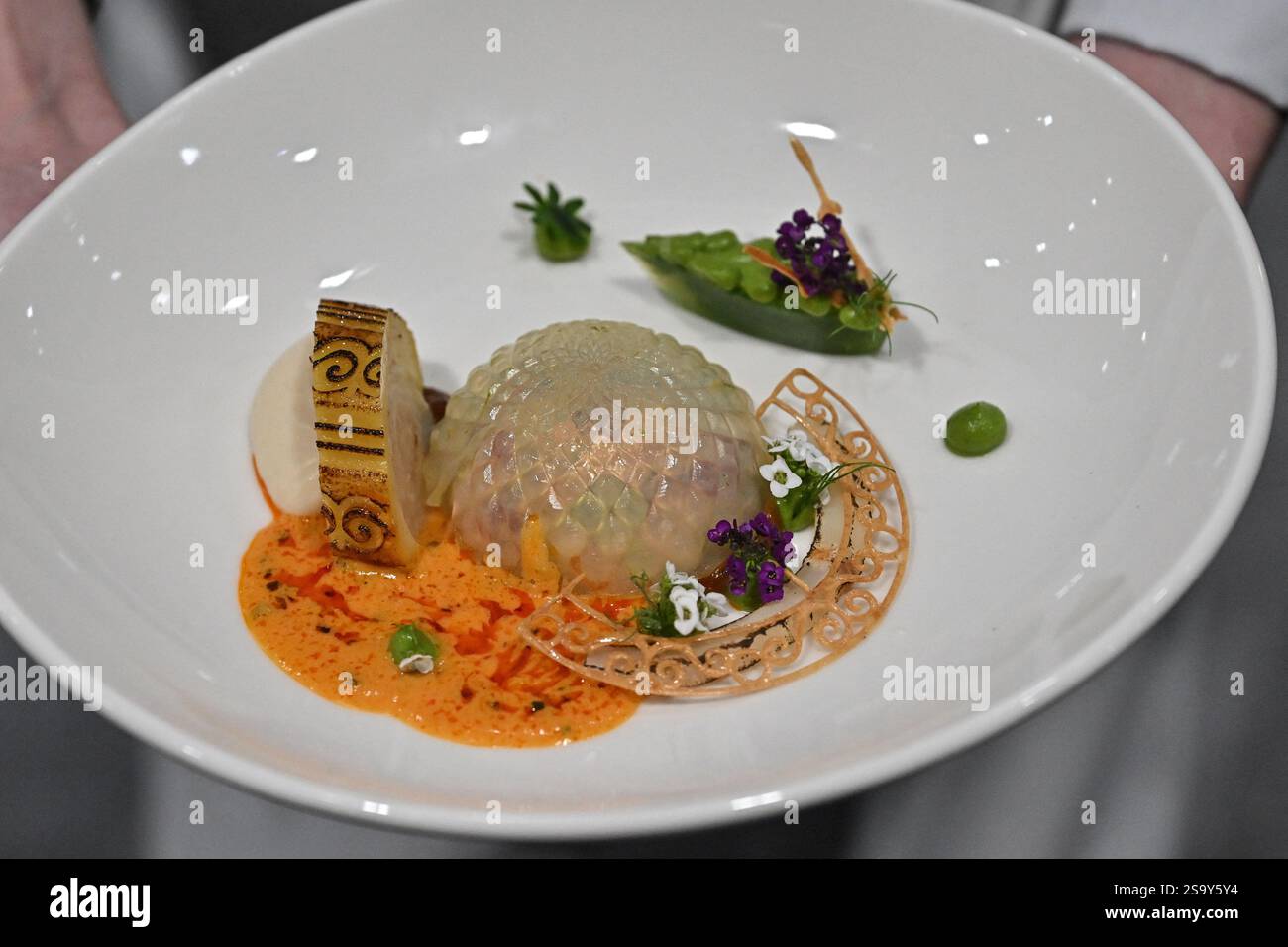 Team Mexico Plate the Bocuse D Or Finale ahead of SIRHA in Lyon, France