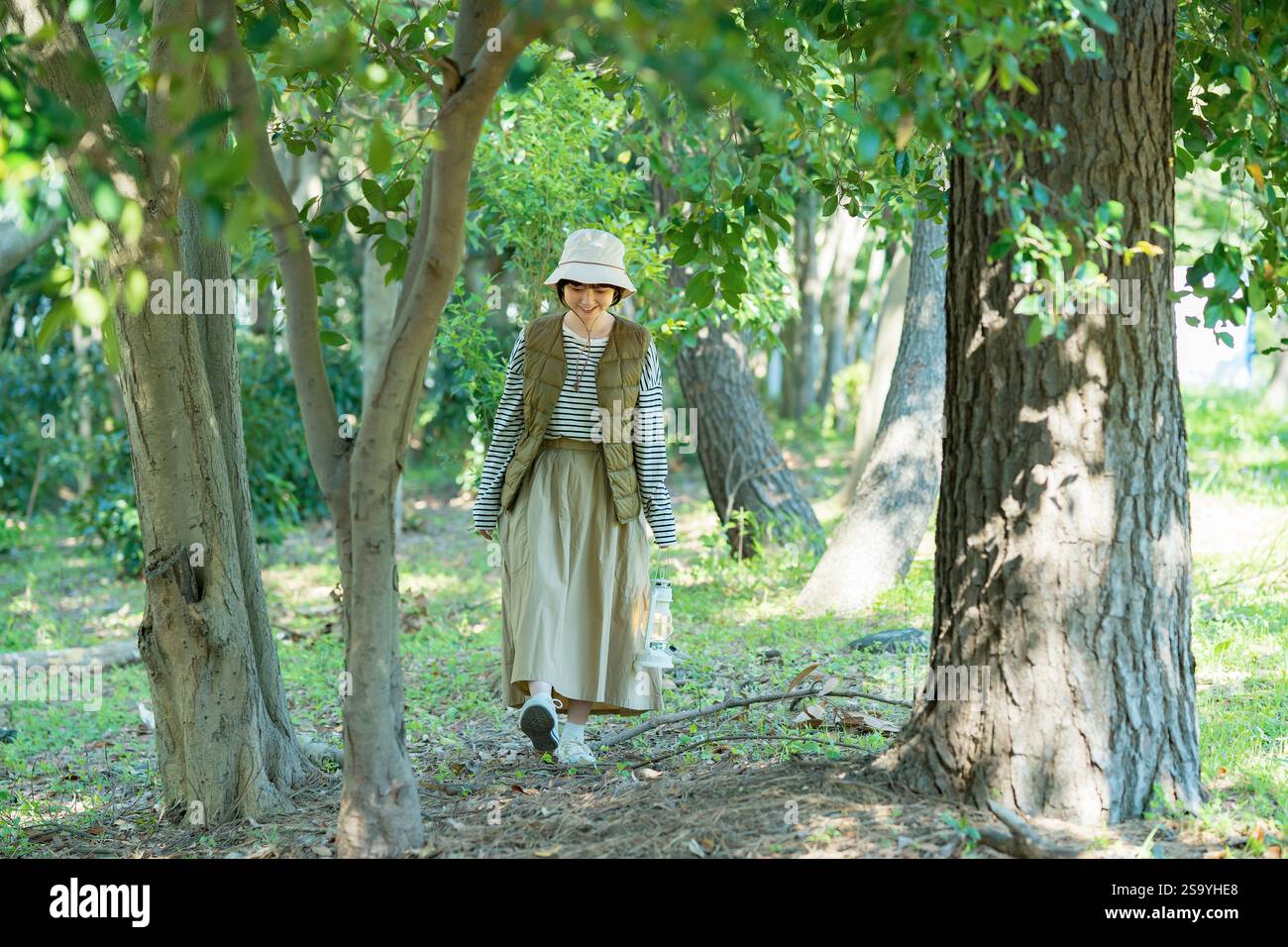 Young woman strolling in a brightly lit forest Stock Photo - Alamy