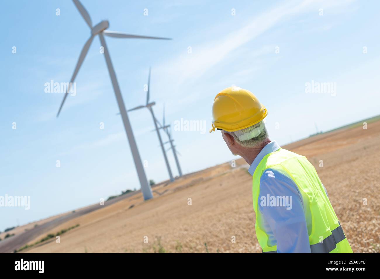 Electrical engineer standing in a field and looking at wind turbines ...